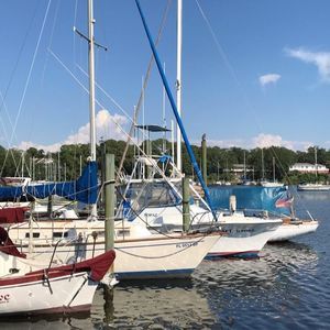 Meet your Posher, Lee